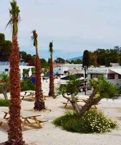Área Natur Playa Muchavista en El Campello Alicante